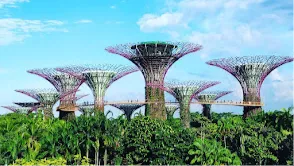 Gardens by the Bay
